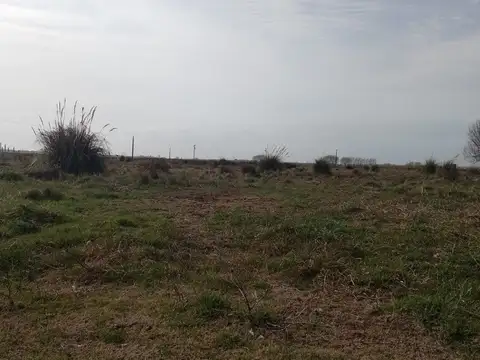 2 Lotes: Rep. Argentina E/ Jamaica y Guayana - Pavón - B614