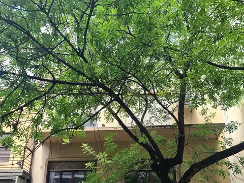 Salguero al 500 y Av. Corrientes, Almagro. Piso 1 por escalera. Al frente. 2 ambientes. 64 m2. Reciclado. Impecable estado. Apto crédito. Apto profesional. Bajas expensas.