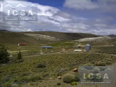 INMOBILIARIA COMODORO - Campo - Tecka - FEED LOT