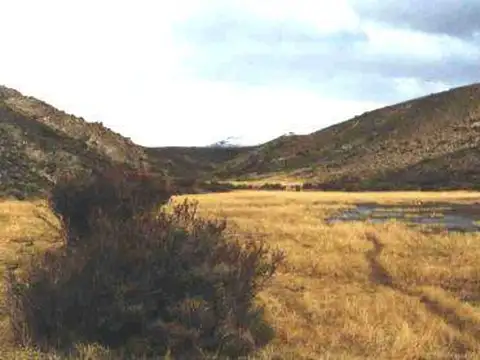 INMOBILIARIA COMODORO - Campo - Tecka - FEED LOT