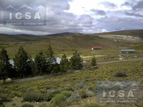 RUTA 40