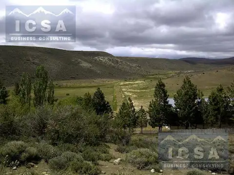 RUTA 40