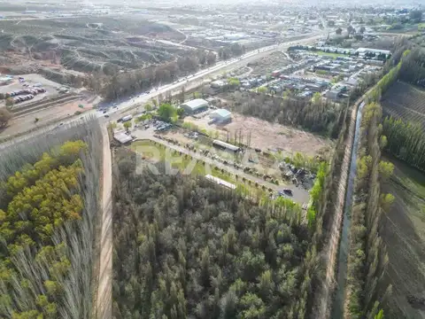 Terreno en Venta en Centenario, USD 200.000