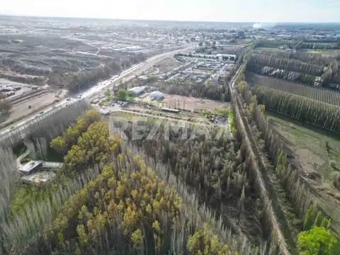 LOTE 5125 MTR2 EN VENTA EN CALLE 4, CENTENARIO