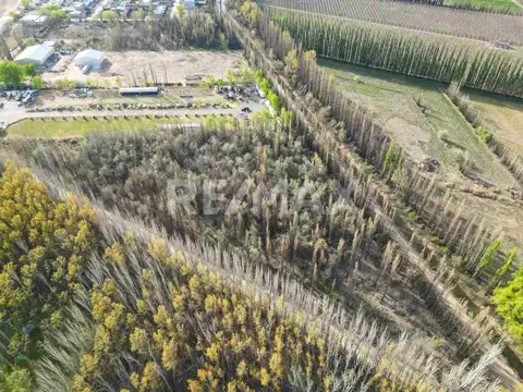 Ruta Provincial 7 y Calle 4