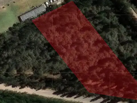 Ruta Provincial 7 y Calle 4