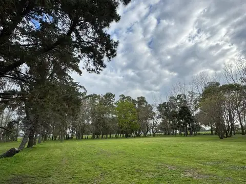 Campo en Venta de 12  ha