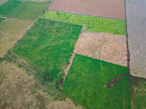 CAMPO EN VENTA 104 HECTAREASMIXTO CEPEDA