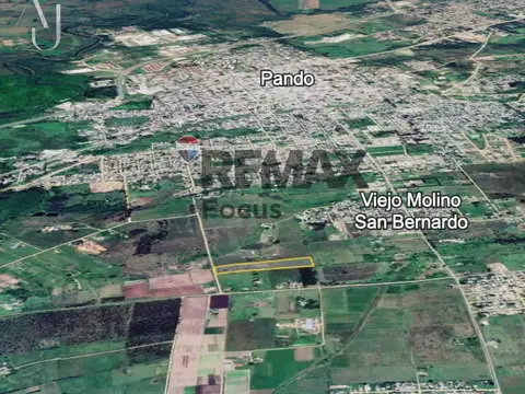 Venta de campo de 2,5 hectáreas próximo a Pando