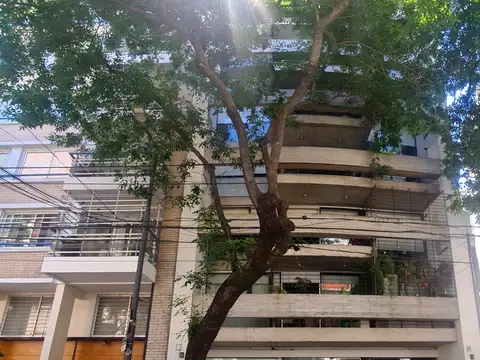 Dr E Ravignani 2100, Piso 1