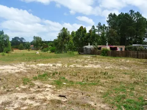 Terreno en Venta en Punta del Este, USD 250.000