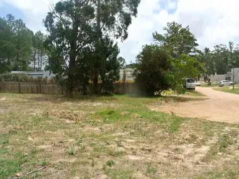 Terreno en Venta de 772,0 m2