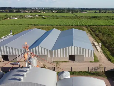 Cebil Pozo (continuacion Banda Rio Sali)