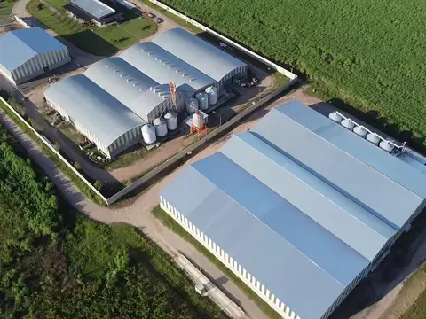 Galpón en Cebil Pozo (continuacion Banda Rio Sali)