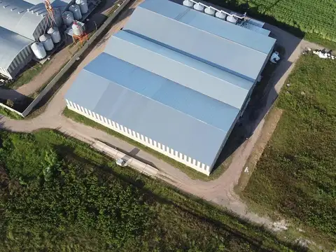 Galpon en Alquiler A Estrenar