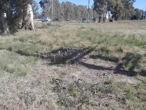 Ruta 35 predio apto desarrollo