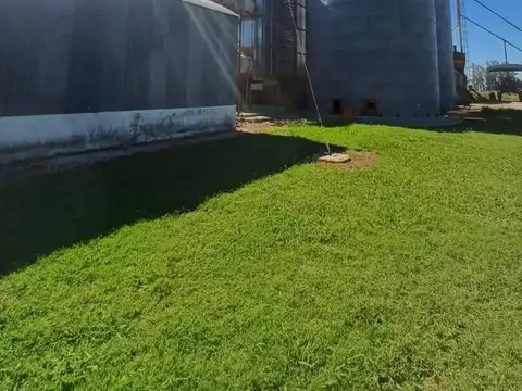 Campo en Urdampilleta