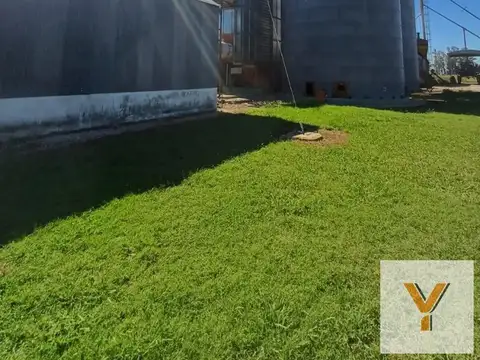 Campo en Urdampilleta
