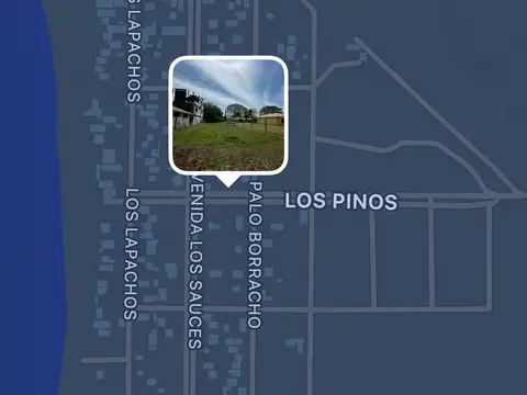 Los pinos al 100