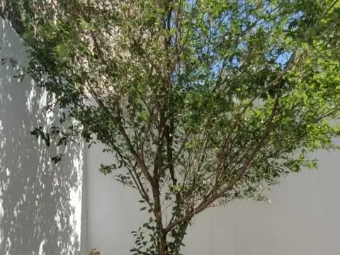 Casa en Venta en Corrientes, USD 190.000