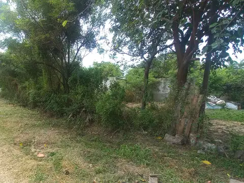 Calle Clementino Forte 400