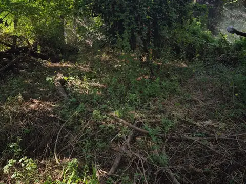 Terreno en Venta en Corrientes, USD 12.500