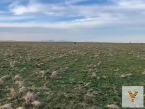 Campo en venta - 2.830.000mts2 - Necochea
