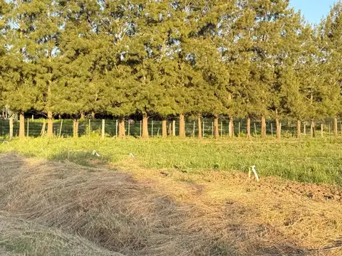 Terreno en Venta de 493,0 m2