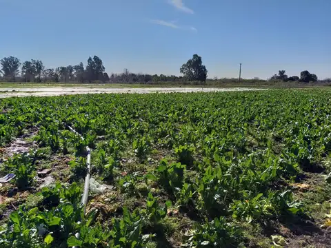 Terreno en Venta en Rosario, USD 300.000