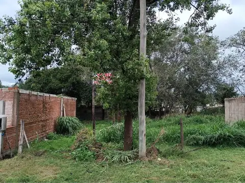 Terreno en Venta en Rio Segundo, $ 24.000.000