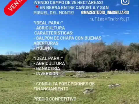 VENTA  CAMPO DE 25 HECTÁREAS A 9KM DE SAN MIGUEL DEL MONTE