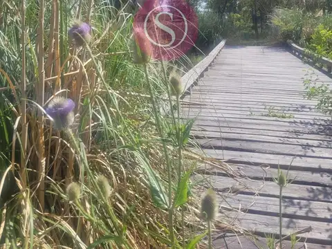 Terreno en Venta de 1501,0 m2