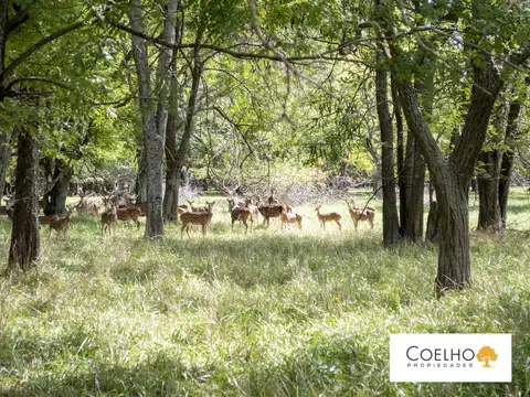 Terreno en Venta de 12442,0 m2