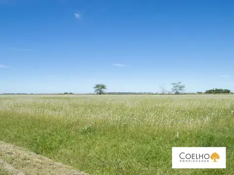 Terreno en Venta en Carmen De Areco, USD 80.879