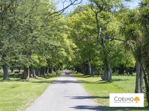 Terreno en Venta en Carmen De Areco, USD 80.879