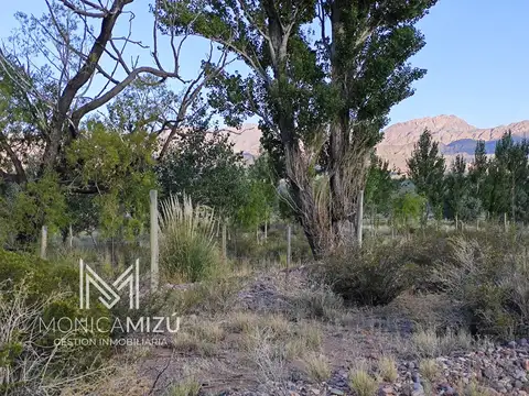 Terreno en Venta de 6200,0 m2