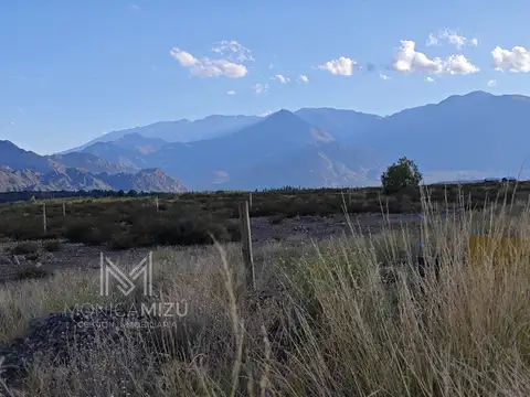 Terreno en Venta de 6200,0 m2