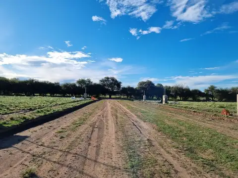 Terreno en Venta de 469,0 m2