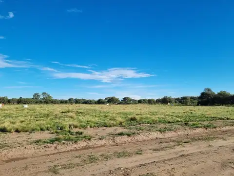 Belgrano - Ayres de Anguil