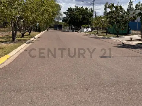 Araoz , Piso 0