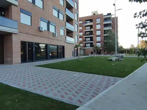 Ingeniero León Miglierini 600