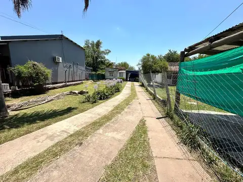 Paunero al 400