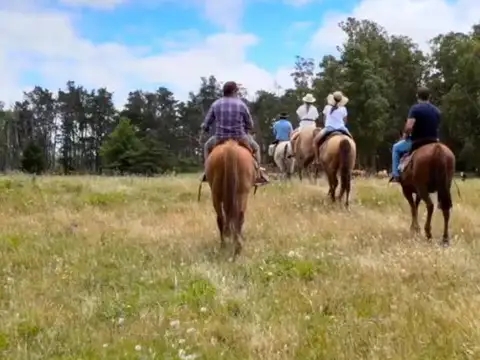 PUERTO QUETZAL - Club de Chacras & Olivos -