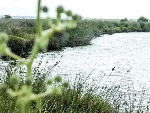 Terreno en Venta de 4000,0 m2