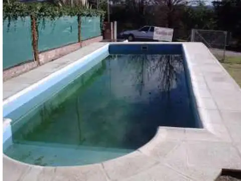 Los Naranjos 100