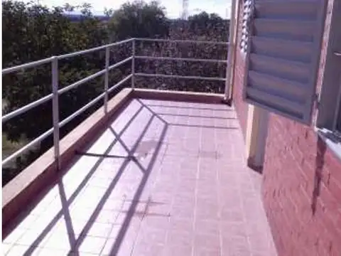 Los Naranjos 100