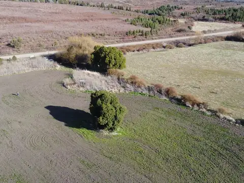 Campo en Venta con Alambrado