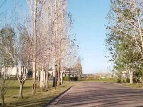 Terreno en Venta en Alejandro Petion, USD 43.000