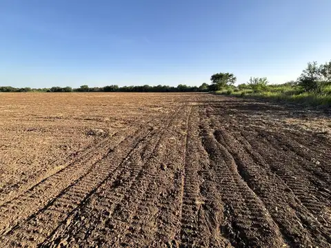 VENTA CAMPO 11 HAS CAMINO 60 CUADRAS KM 11 Y MEDIO