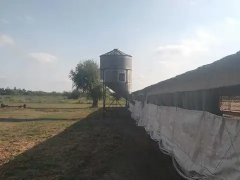 Campo en venta - 17.300Mts2 - Chacabuco
